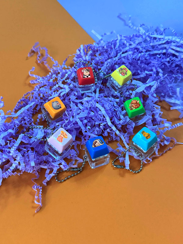 Dein Wunschmotiv auf einem Keycap Fidget Keychain